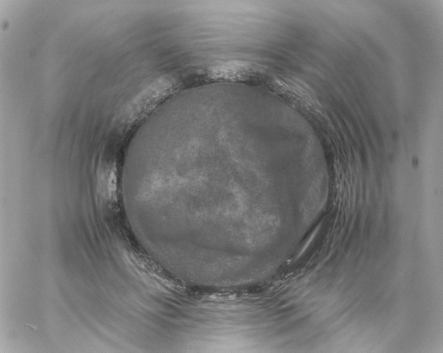 X0000059250502200510281959