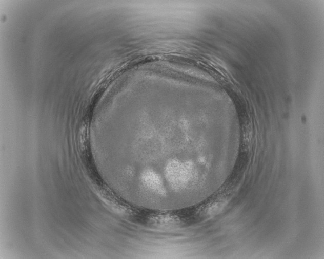 X0000059250503200510281959