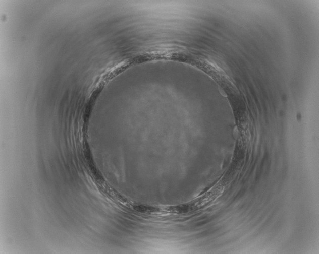 X0000059250504200510281959