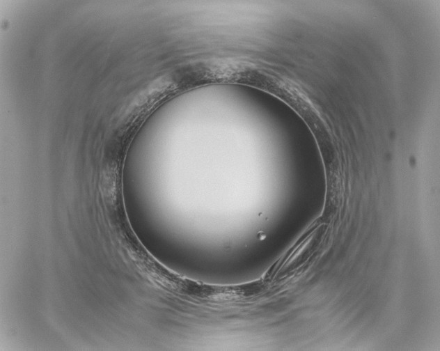 X0000059250505200510281959