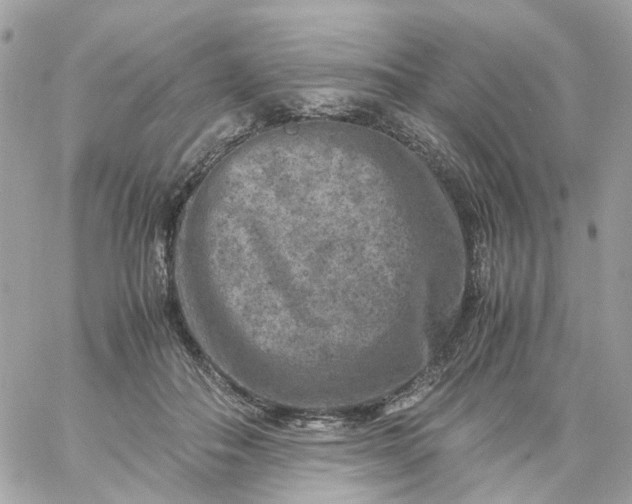 X0000059250506200510281959