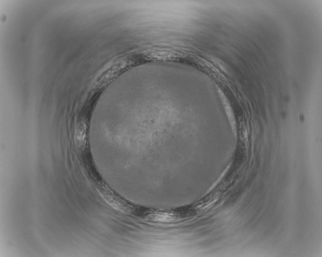 X0000059250507200510281959