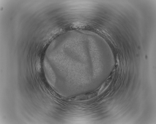 X0000059250508200510281959