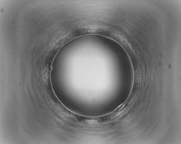 X0000059250509200510281959