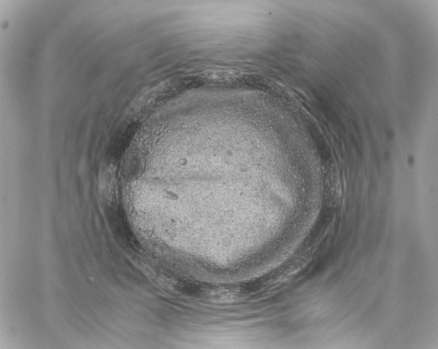 X0000059250511200510281959