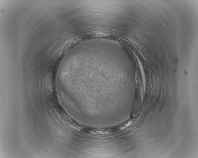 X0000059250512200510281959