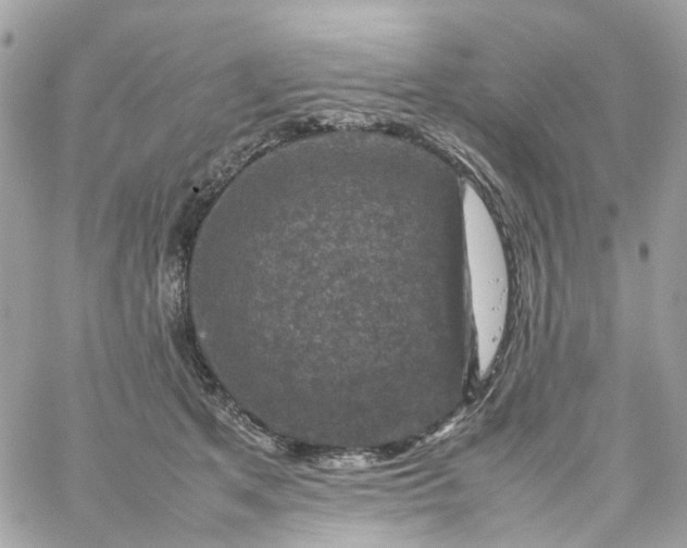 X0000059250513200510281959