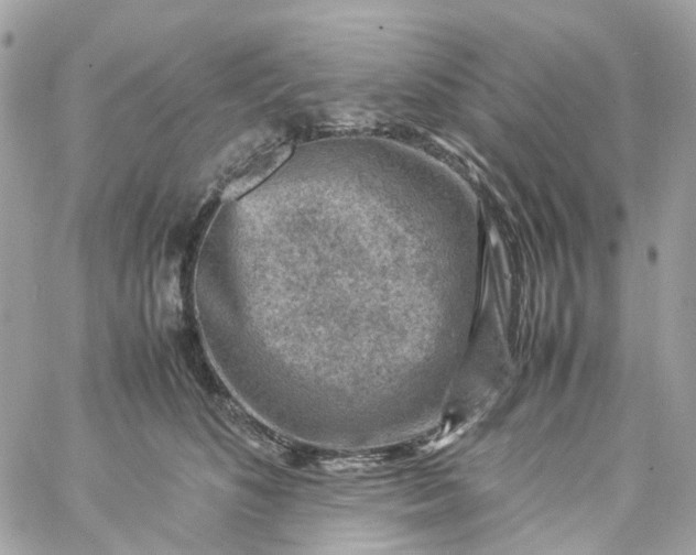 X0000059250516200510281959