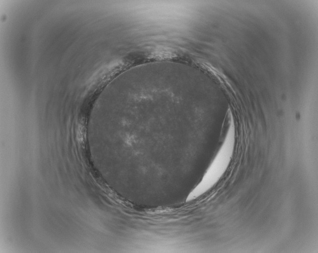 X0000059250517200510281959