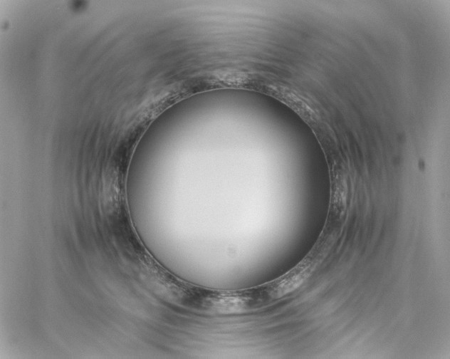 X0000059250518200510281959