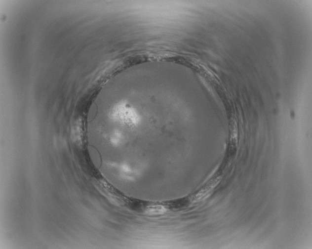 X0000059250519200510281959