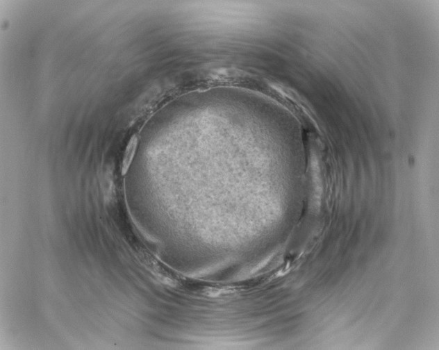 X0000059250520200510281959