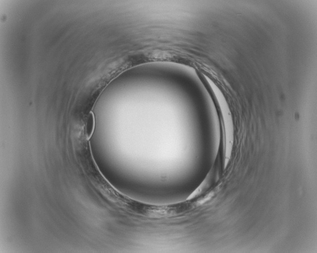 X0000059250521200510281959