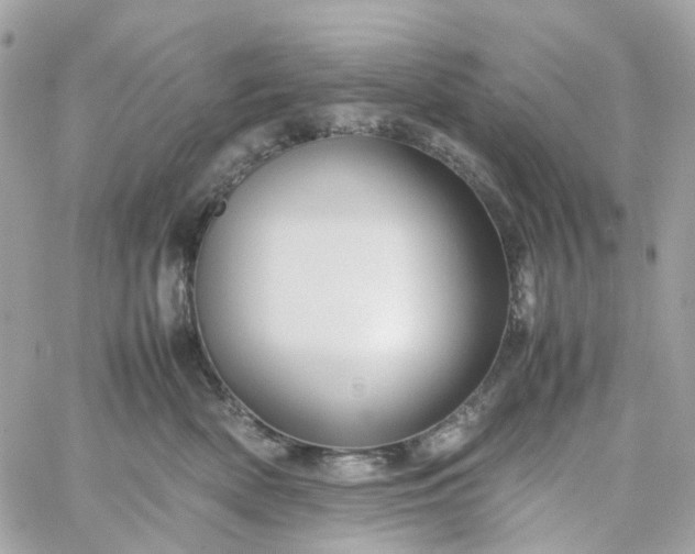 X0000059250522200510281959