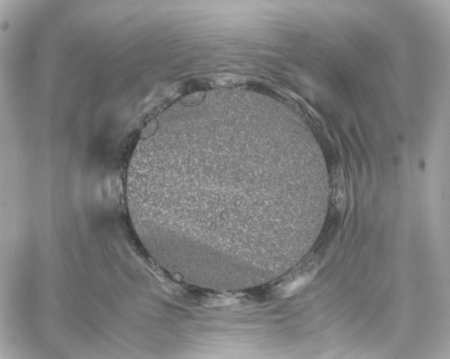 X0000059250523200510281959