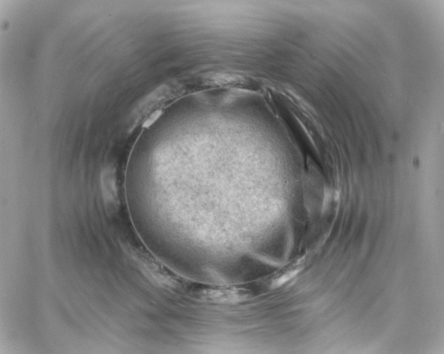 X0000059250524200510281959