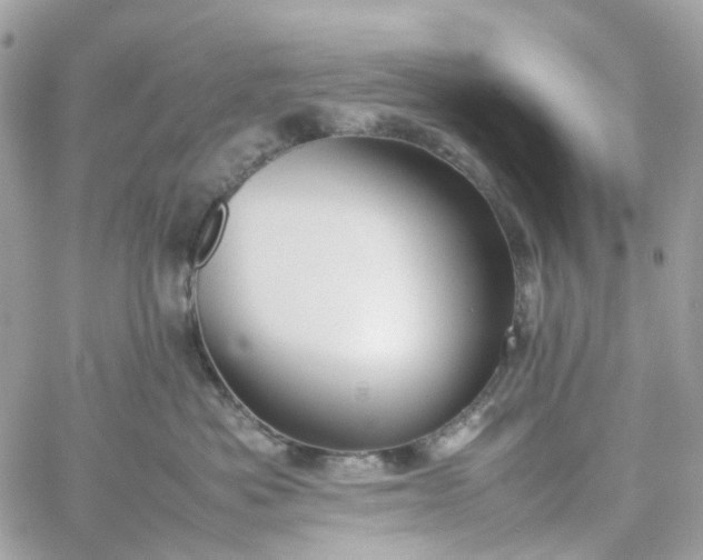 X0000059250525200510281959