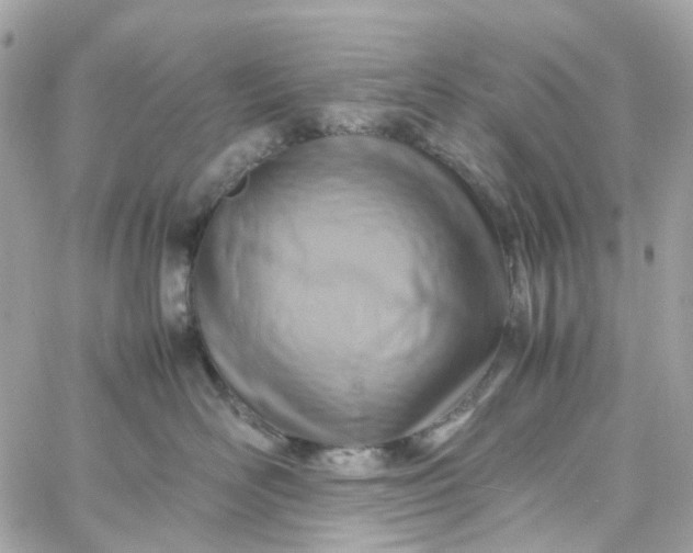 X0000059250526200510281959