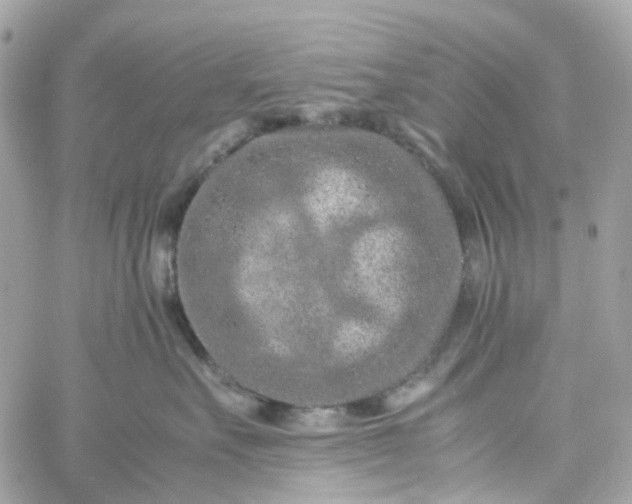 X0000059250527200510281959