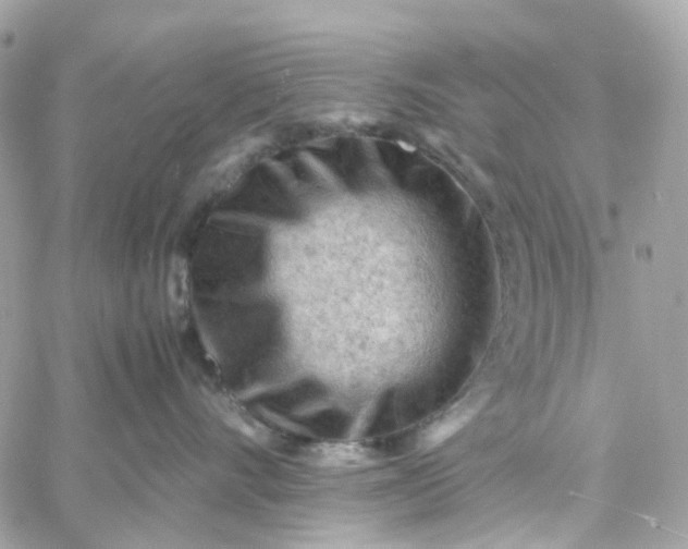 X0000059250528200510281959