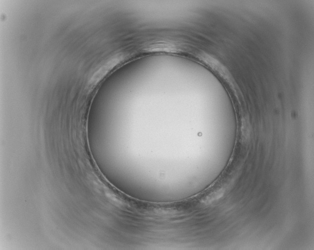 X0000059250529200510281958