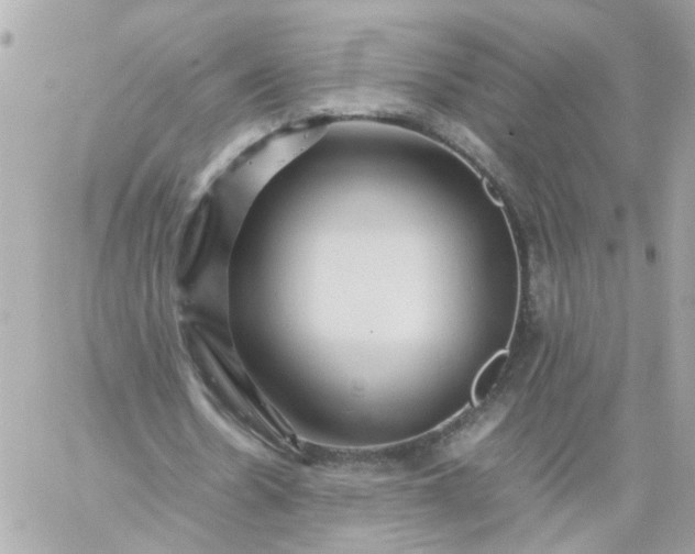 X0000059250530200510281958