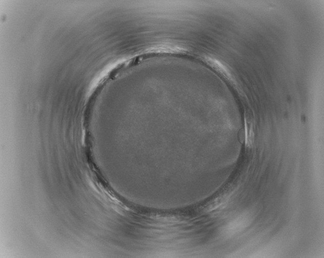 X0000059250531200510281958