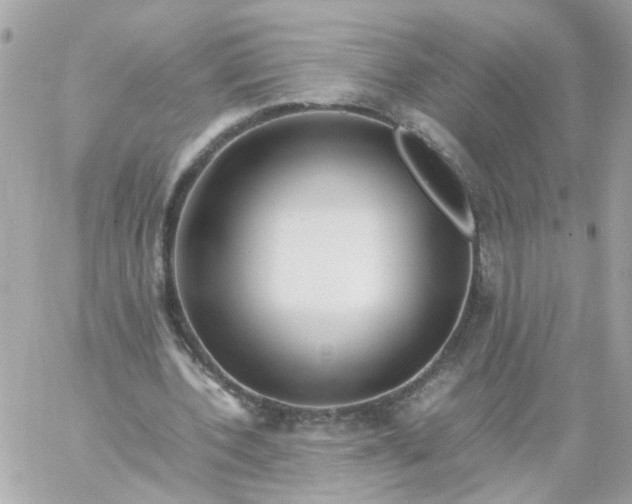 X0000059250532200510281958