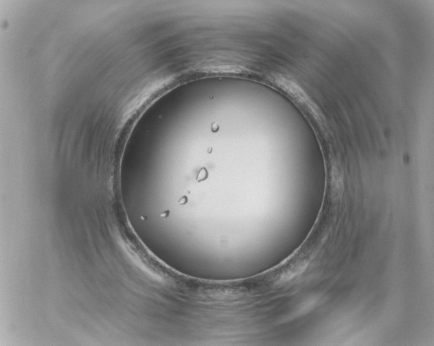 X0000059250533200510281958