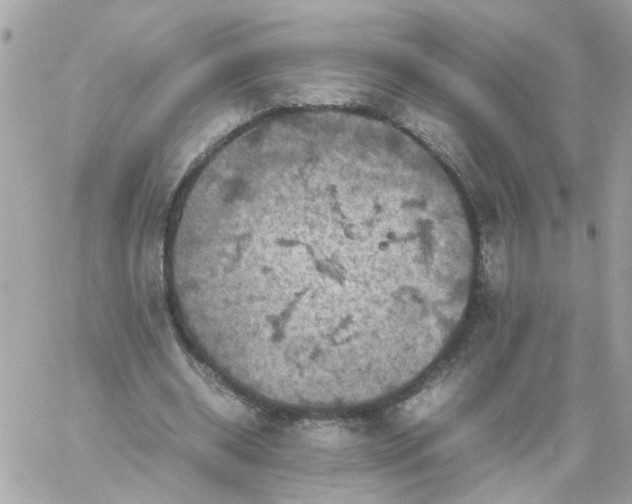 X0000059250534200510281958