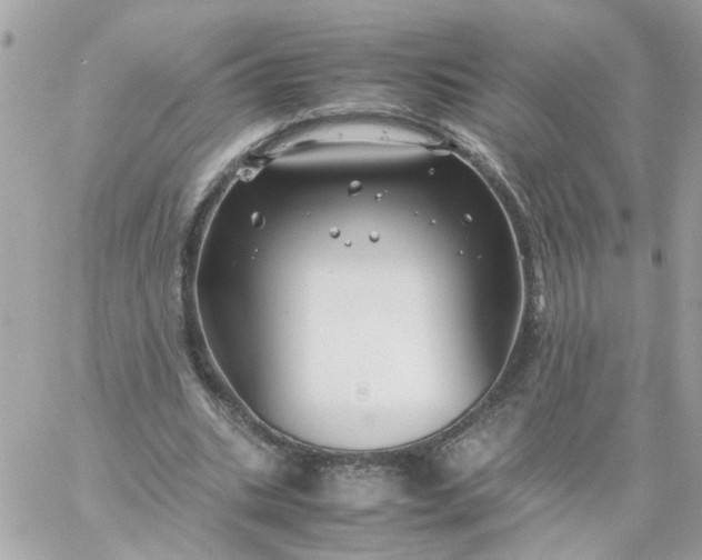 X0000059250535200510281958