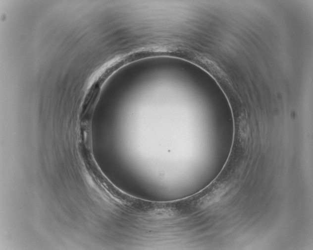 X0000059250536200510281958