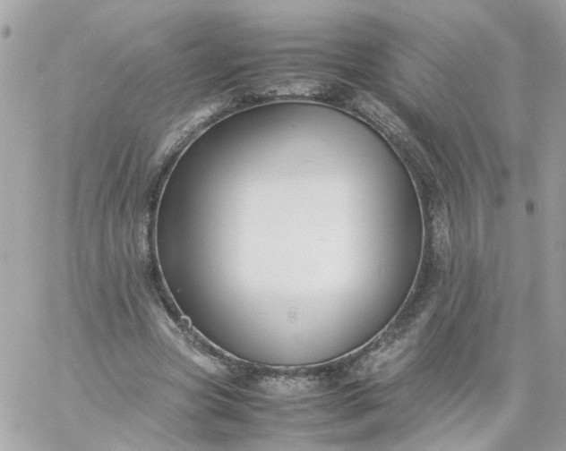 X0000059250537200510281958