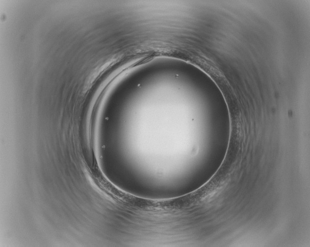 X0000059250538200510281958