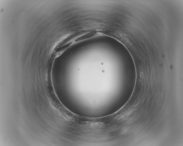 X0000059250539200510281958