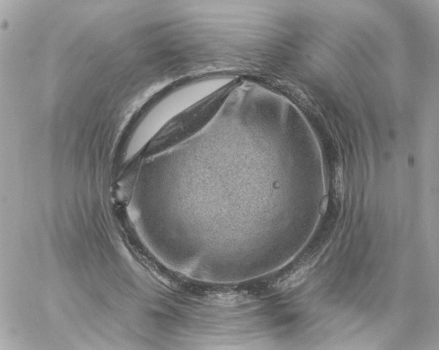 X0000059250540200510281958