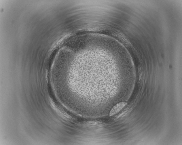 X0000059250542200510281958