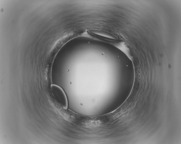 X0000059250543200510281958