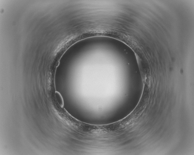 X0000059250544200510281958