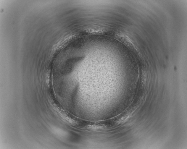 X0000059250545200510281958