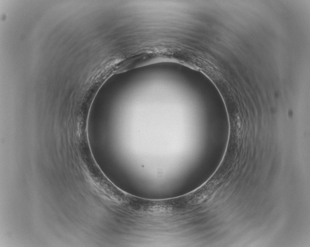 X0000059250546200510281958