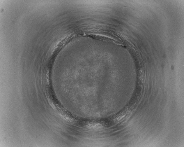 X0000059250547200510281958