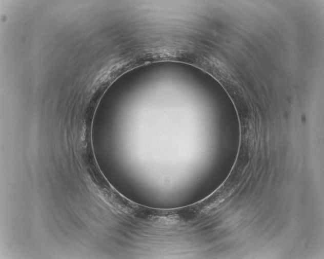 X0000059250548200510281958