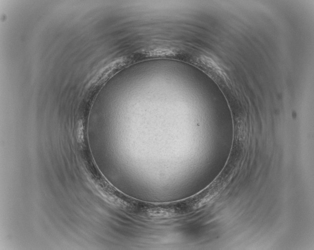 X0000059250549200510281958