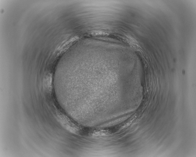 X0000059250550200510281958