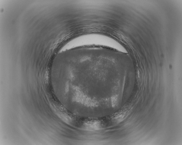 X0000059250551200510281959