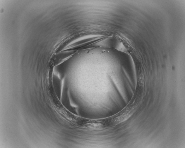 X0000059250552200510281959