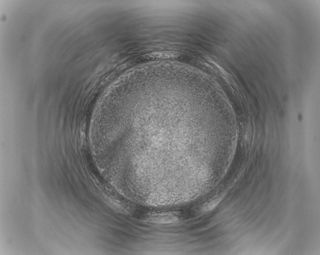 X0000059250553200510281959