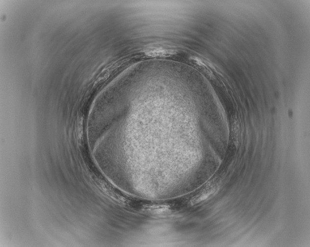 X0000059250554200510281959