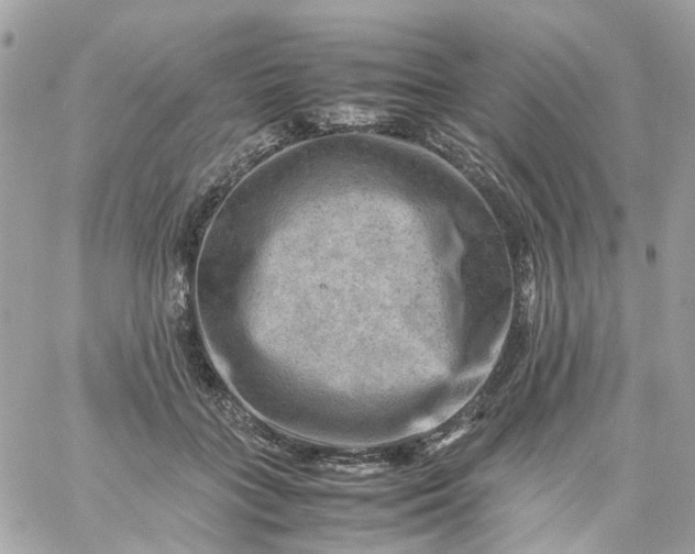 X0000059250555200510281959